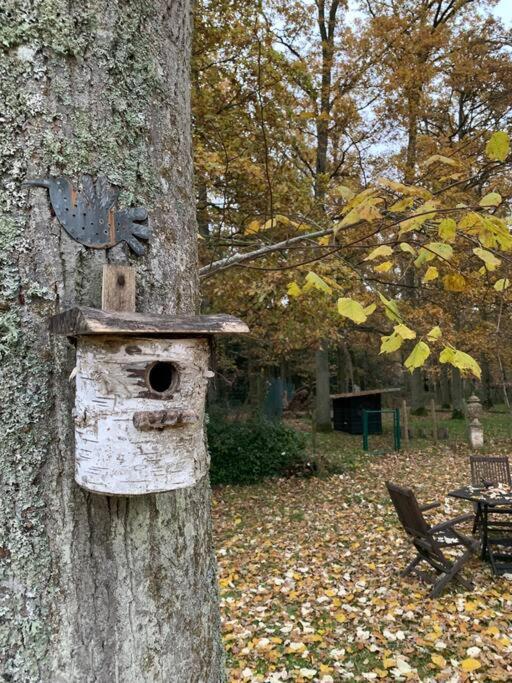 Maisonnette En Clairiere De Foret Gambais Exterior photo